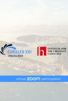 Virtual participant (non-presenter)