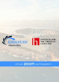 Virtual participant (non-presenter)